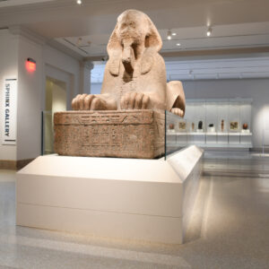 Penn Museum of Archaeology & Anthropology Renovation